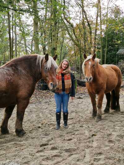 Paardencoaching Geheelnatuurlijk Tolbert