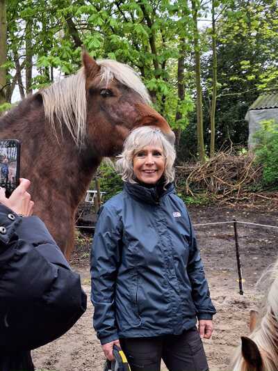 Paardencoaching Geheelnatuurlijk Tolbert