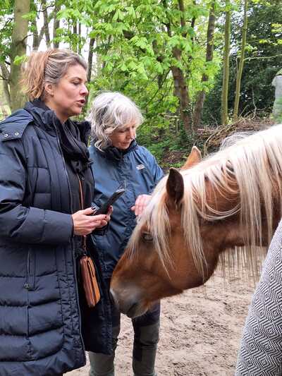 Paardencoaching Geheelnatuurlijk Tolbert