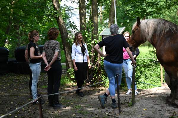 Paardencoaching Geheelnatuurlijk Tolbert