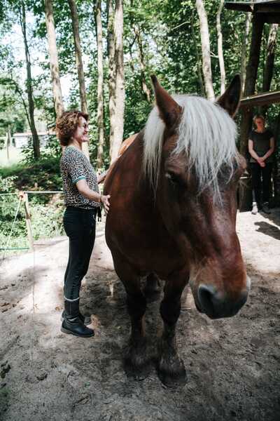 Paardencoaching Geheelnatuurlijk Tolbert