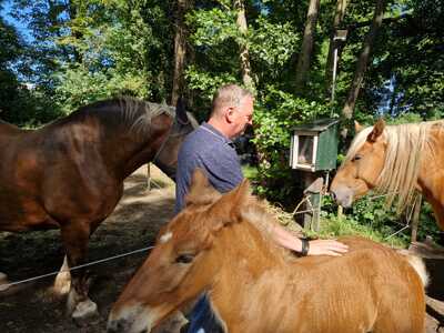 Paardencoaching Geheelnatuurlijk Tolbert
