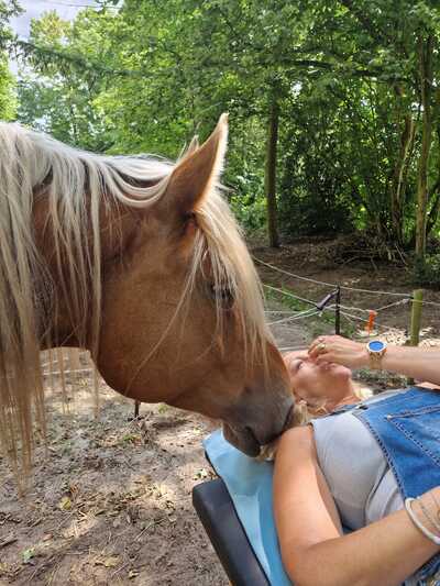 Paardencoaching Geheelnatuurlijk Tolbert