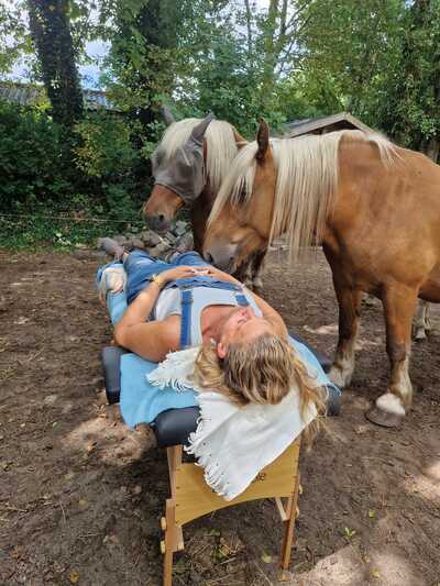 Paardencoaching Geheelnatuurlijk Tolbert
