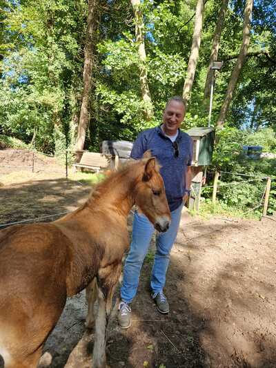 Paardencoaching Geheelnatuurlijk Tolbert