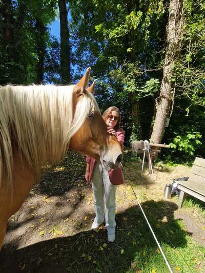 Paardencoaching Geheelnatuurlijk Tolbert