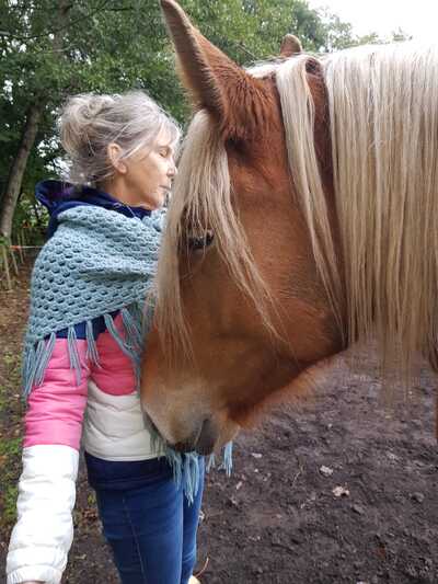 Paardencoaching Geheelnatuurlijk Tolbert