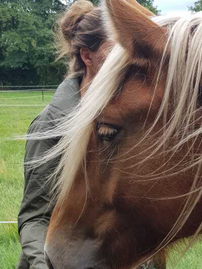 Paardencoaching Geheelnatuurlijk Tolbert