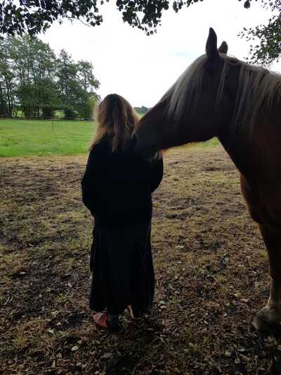 Paardencoaching Geheelnatuurlijk Tolbert