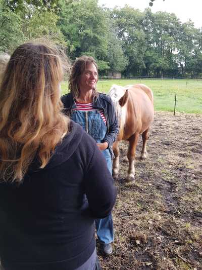 Paardencoaching Geheelnatuurlijk Tolbert