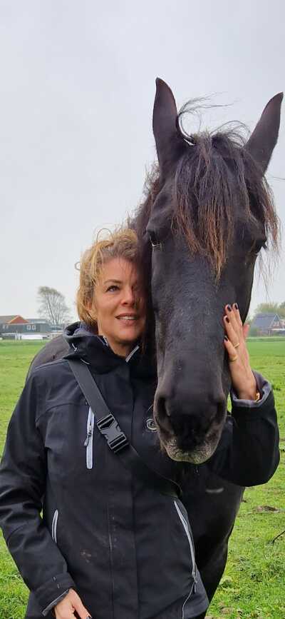 Paardencoaching Geheelnatuurlijk Tolbert