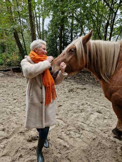 Paardencoaching Geheelnatuurlijk Tolbert